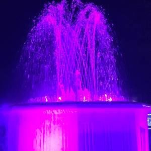 Meet your Posher, Erinjoy